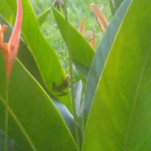 Meet your Posher, Douglas